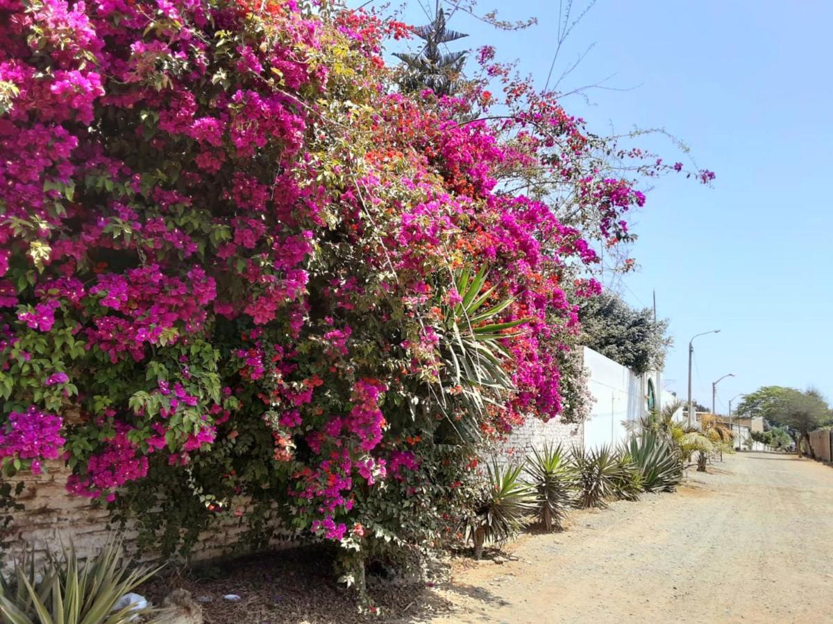 Villa Hospedaje Chanchan Cultural Lodge Trujillo Exterior photo